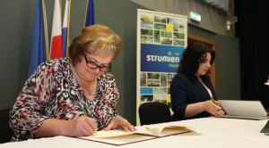 Obrazek domyslny serwisu strumien.pl